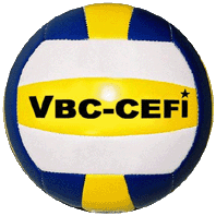vc-cefi logo